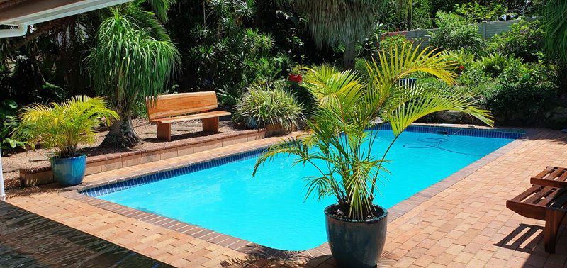 Summer Sand Holiday Cottages Scottburgh South Scottburgh Kwazulu Natal South Africa Complementary Colors, Palm Tree, Plant, Nature, Wood, Garden, Swimming Pool