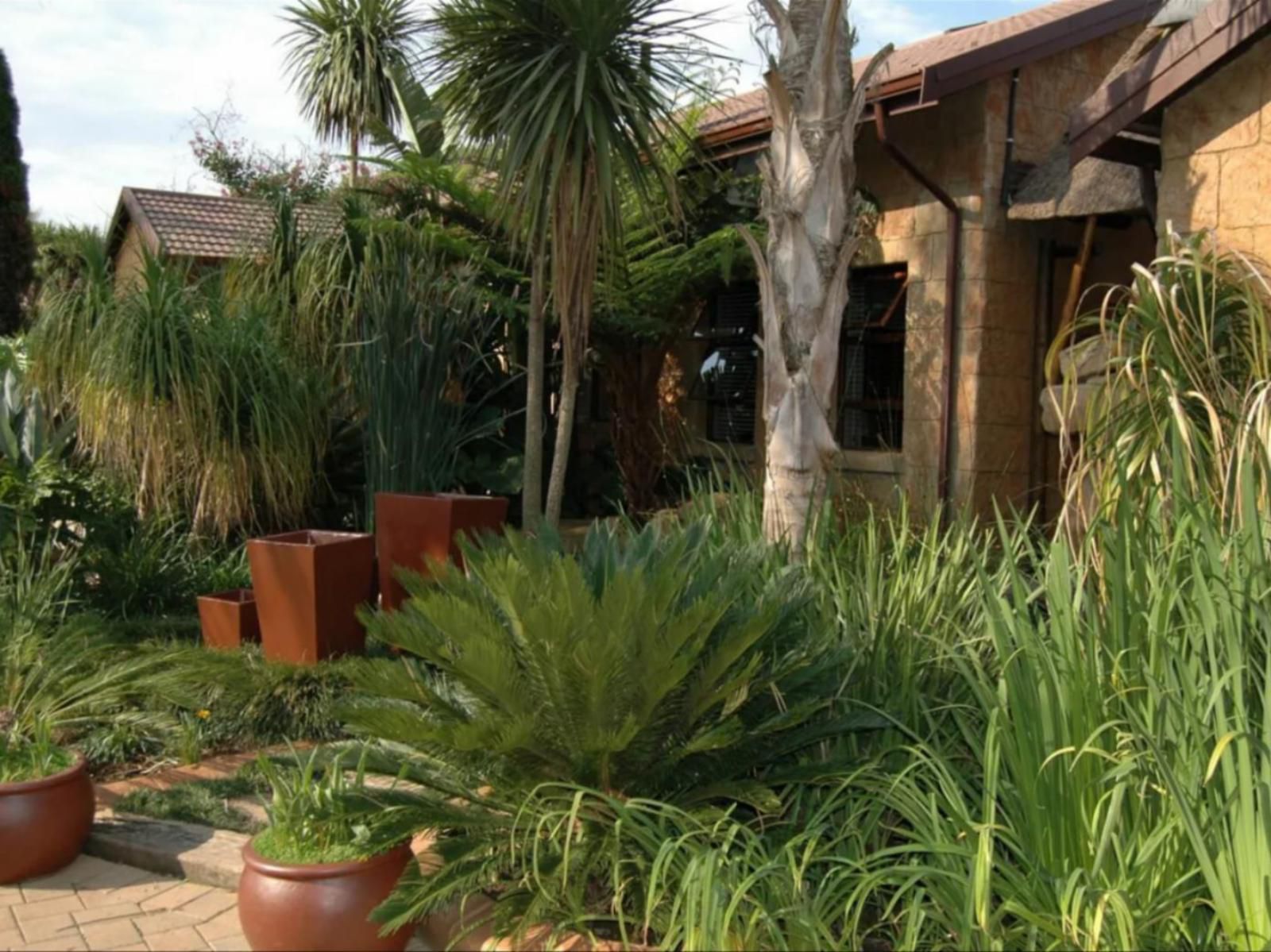 Summer Garden Guest House The Palms Farrarmere Johannesburg Gauteng South Africa Palm Tree, Plant, Nature, Wood, Garden