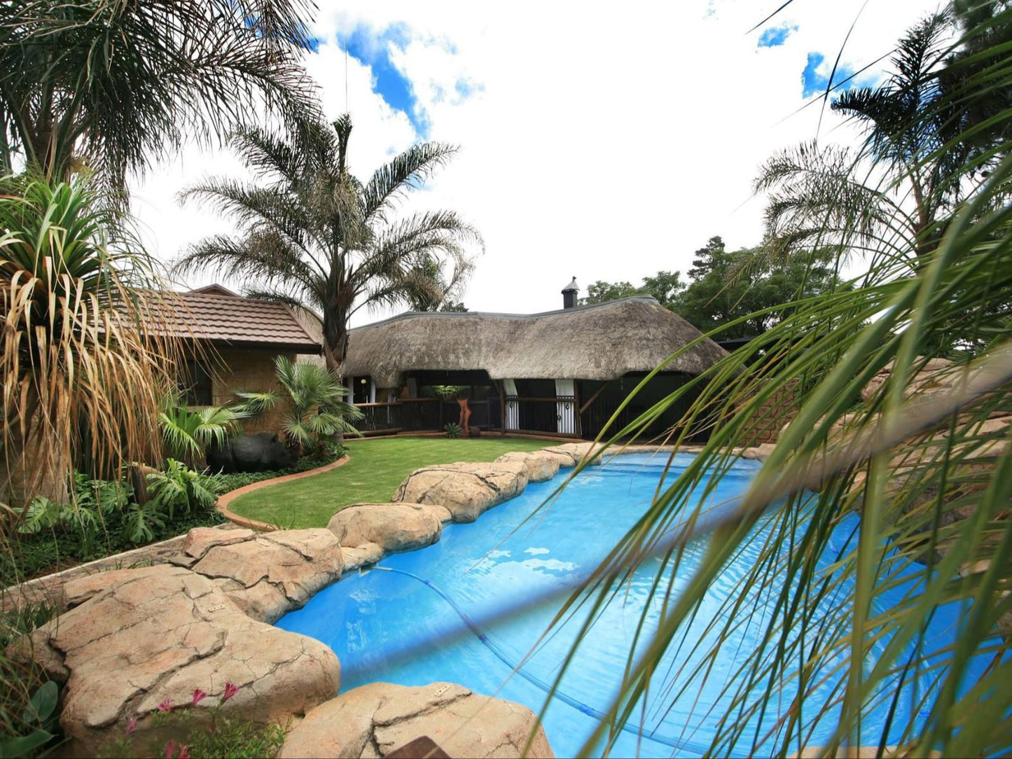 Summer Garden Guest House The Palms Farrarmere Johannesburg Gauteng South Africa Palm Tree, Plant, Nature, Wood, Swimming Pool