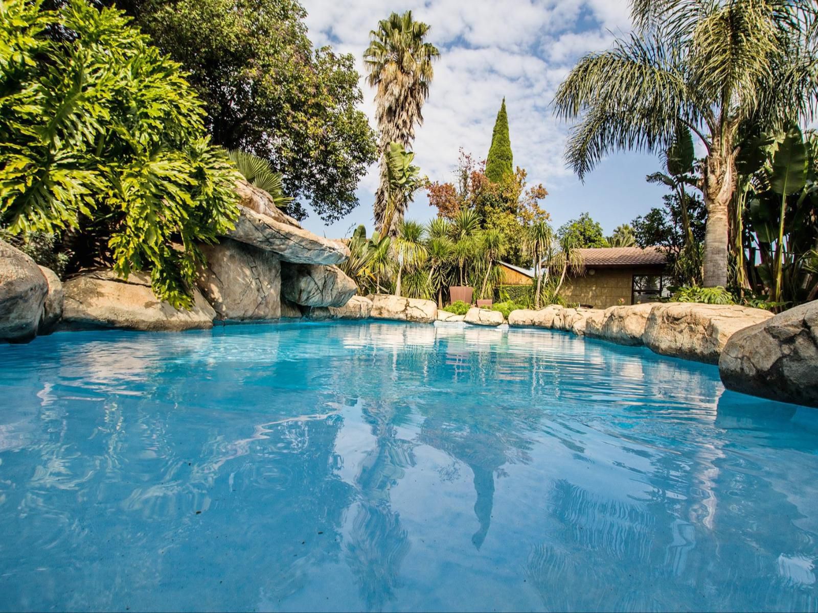 Summer Garden Guest House The Palms Farrarmere Johannesburg Gauteng South Africa Complementary Colors, Palm Tree, Plant, Nature, Wood, Garden, Swimming Pool