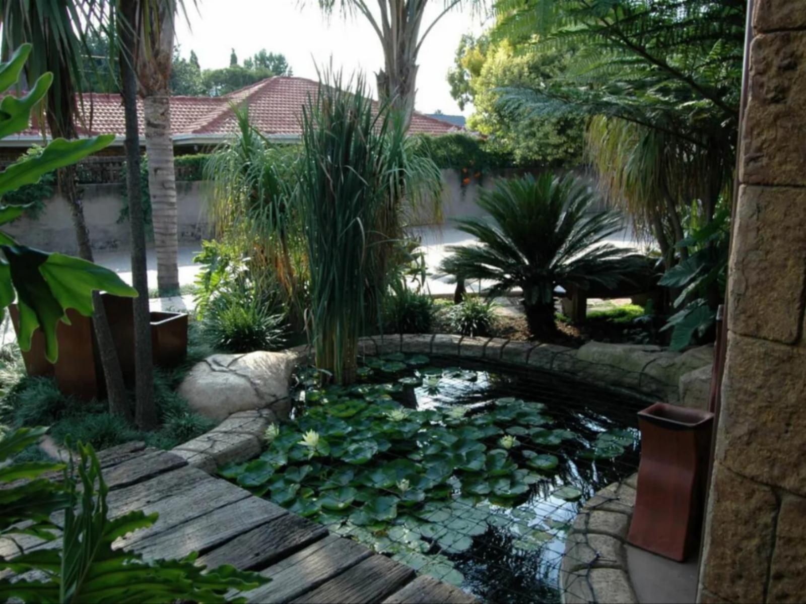 Summer Garden Guest House The Palms Farrarmere Johannesburg Gauteng South Africa House, Building, Architecture, Plant, Nature, Garden, Swimming Pool