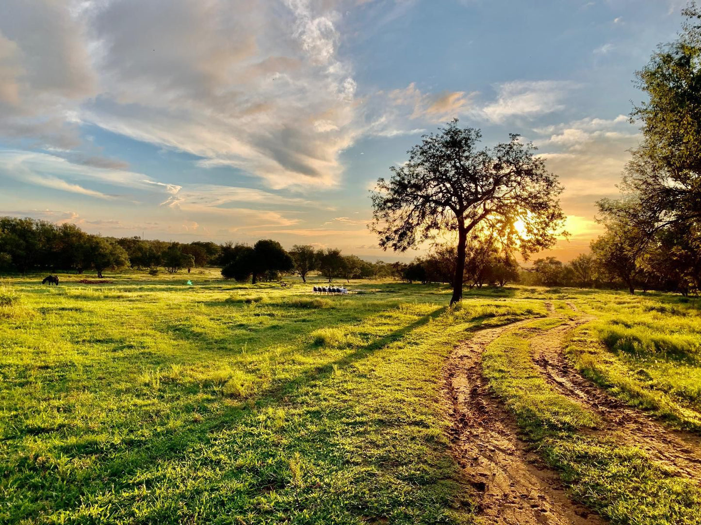 Summerplace Game Reserve, Lowland, Nature