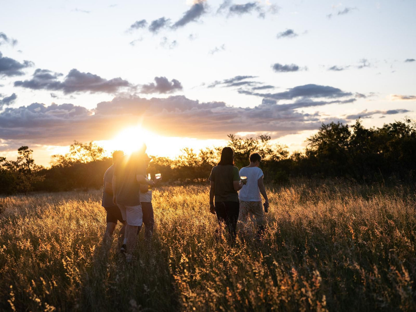 Summerplace Game Reserve, Field, Nature, Agriculture, Group, Person, Silhouette, Lowland, Sunset, Sky