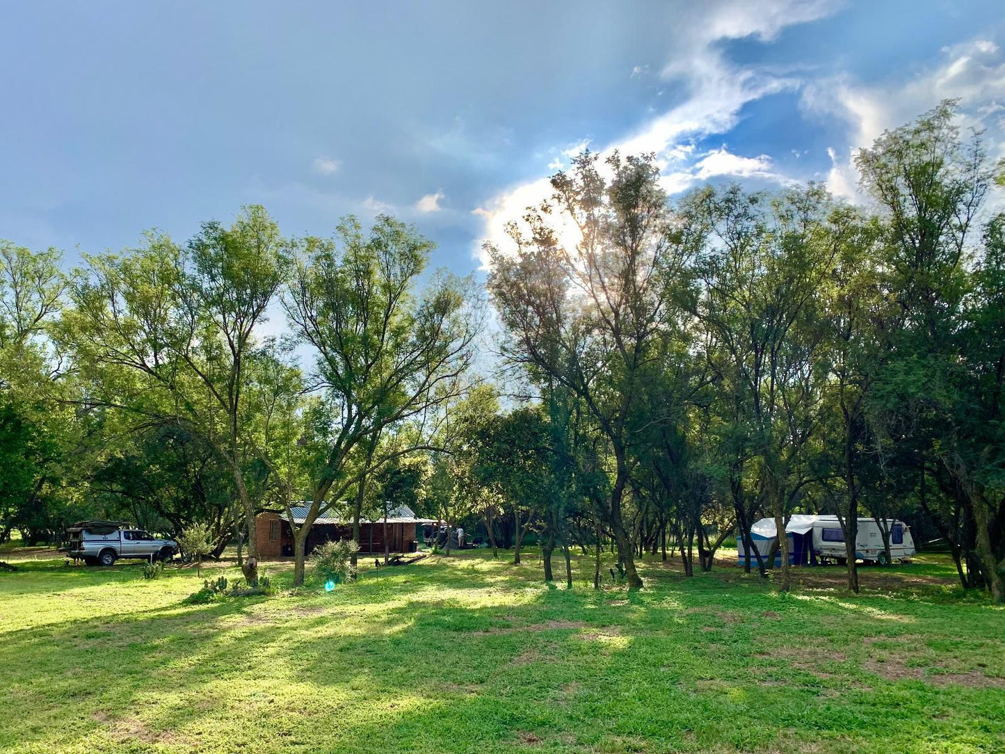 Summerplace Game Reserve, Campsite 6, Tree, Plant, Nature, Wood