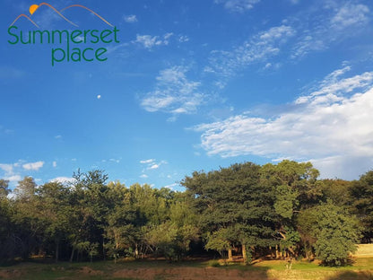 Summerset Place Country House Intaba Indle Wilderness Estate Bela Bela Warmbaths Limpopo Province South Africa Tree, Plant, Nature, Wood