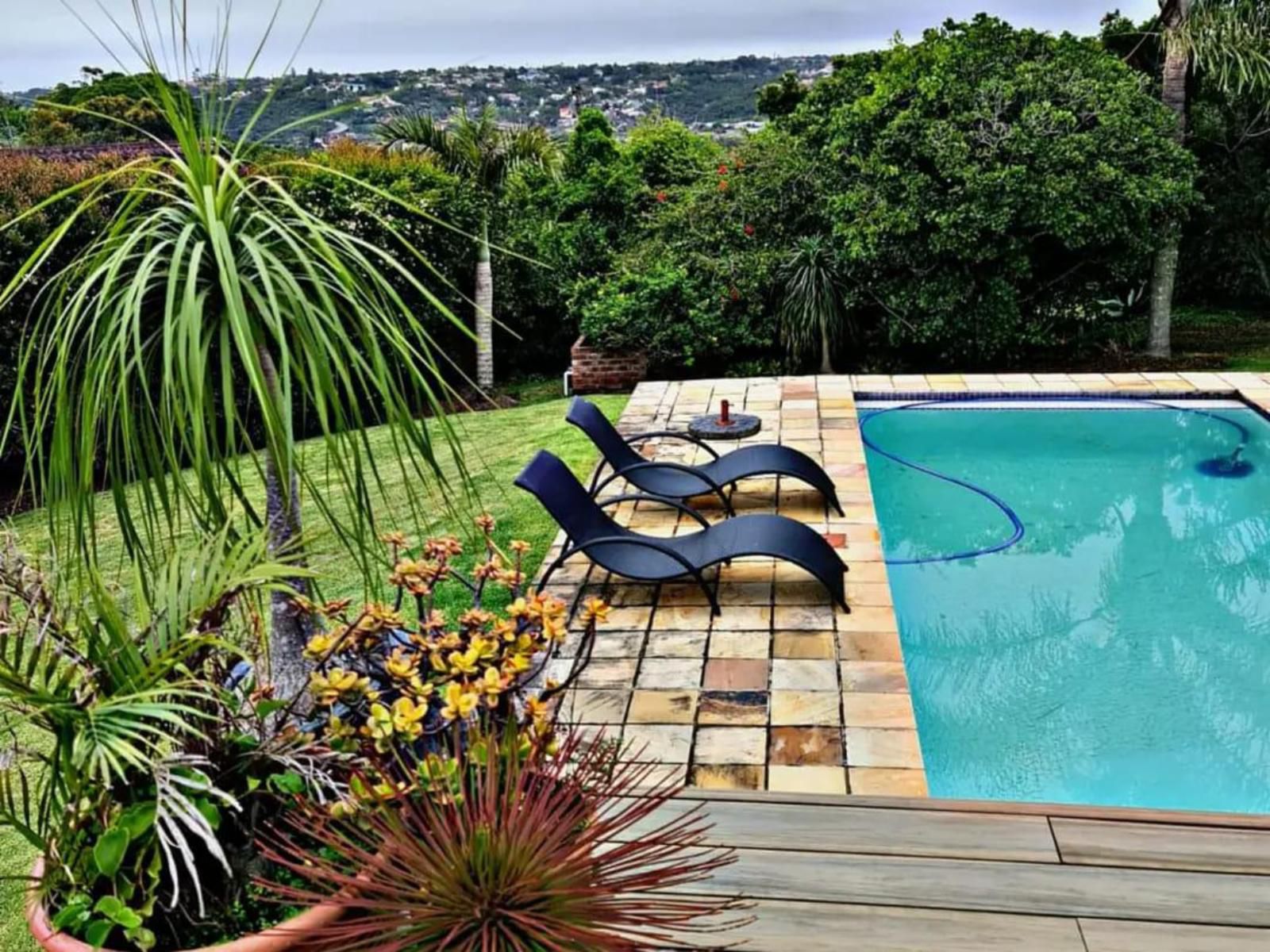 Summit Place Beacon Bay East London Eastern Cape South Africa Complementary Colors, Palm Tree, Plant, Nature, Wood, Garden, Swimming Pool