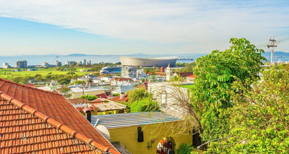 Sun And Sea Apartment Green Point Cape Town Western Cape South Africa Palm Tree, Plant, Nature, Wood