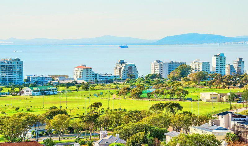 Sun And Sea Apartment Green Point Cape Town Western Cape South Africa Complementary Colors, Beach, Nature, Sand, Palm Tree, Plant, Wood