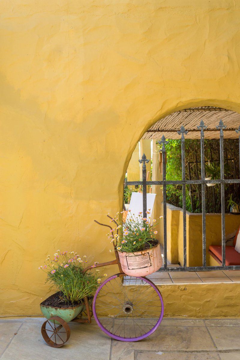 Sun And Sea Downtown Mediterranean Villa Green Point Cape Town Western Cape South Africa Garden, Nature, Plant