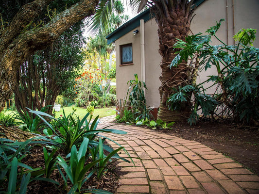 Sunbird Guest House Howick Kwazulu Natal South Africa House, Building, Architecture, Palm Tree, Plant, Nature, Wood, Garden