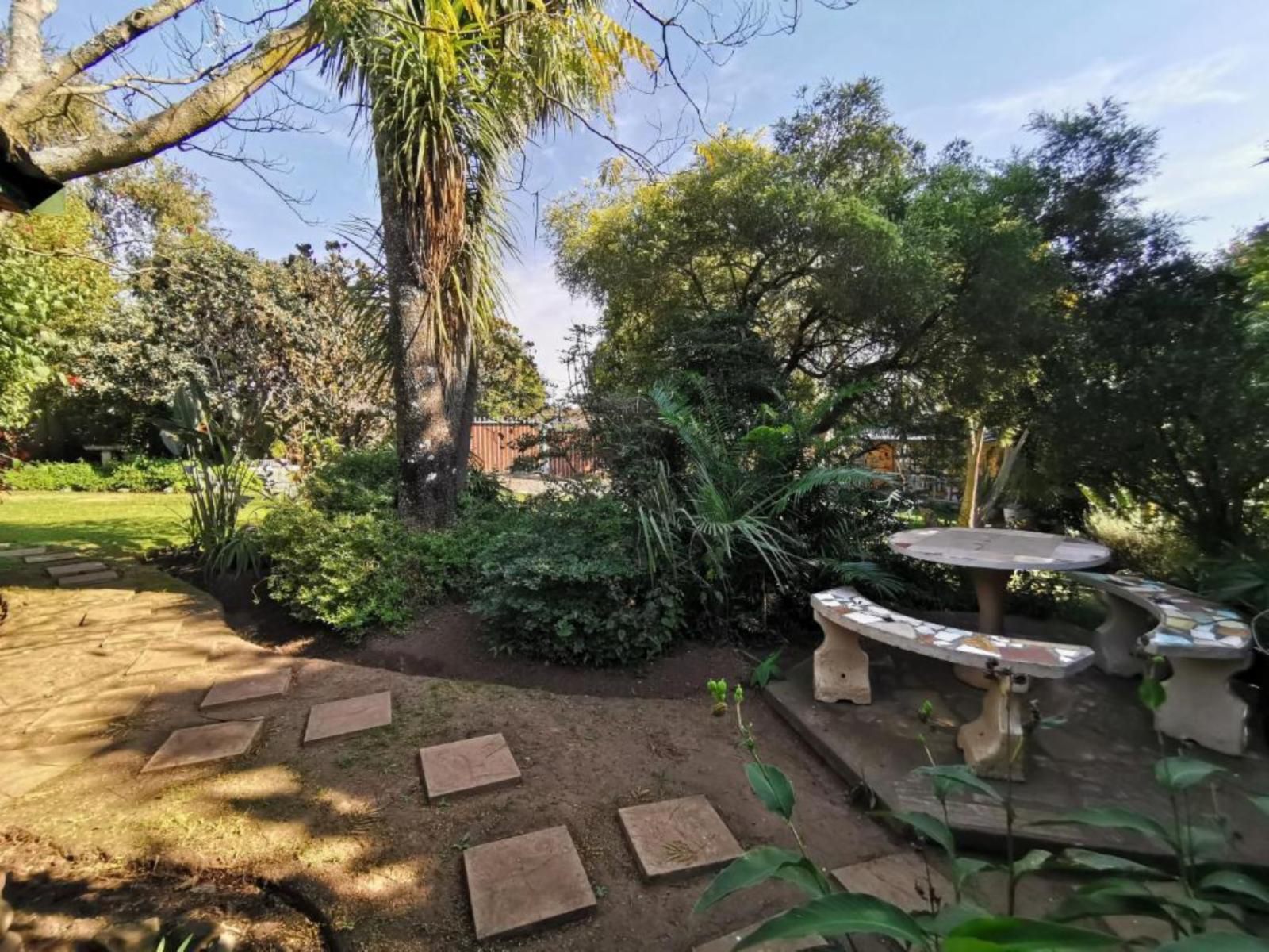 Sunbird Guest House Howick Kwazulu Natal South Africa Palm Tree, Plant, Nature, Wood, Garden