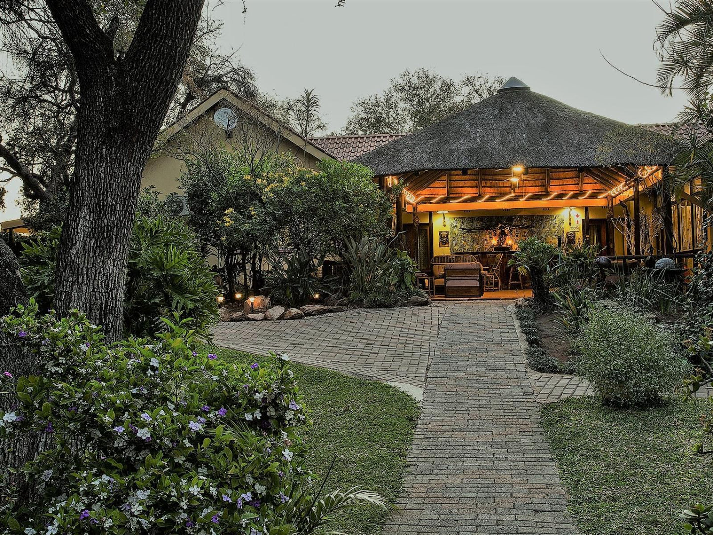 Sunbird Lodge Phalaborwa Limpopo Province South Africa 