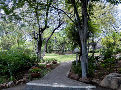 Sunbird Lodge Phalaborwa Limpopo Province South Africa Plant, Nature, Garden