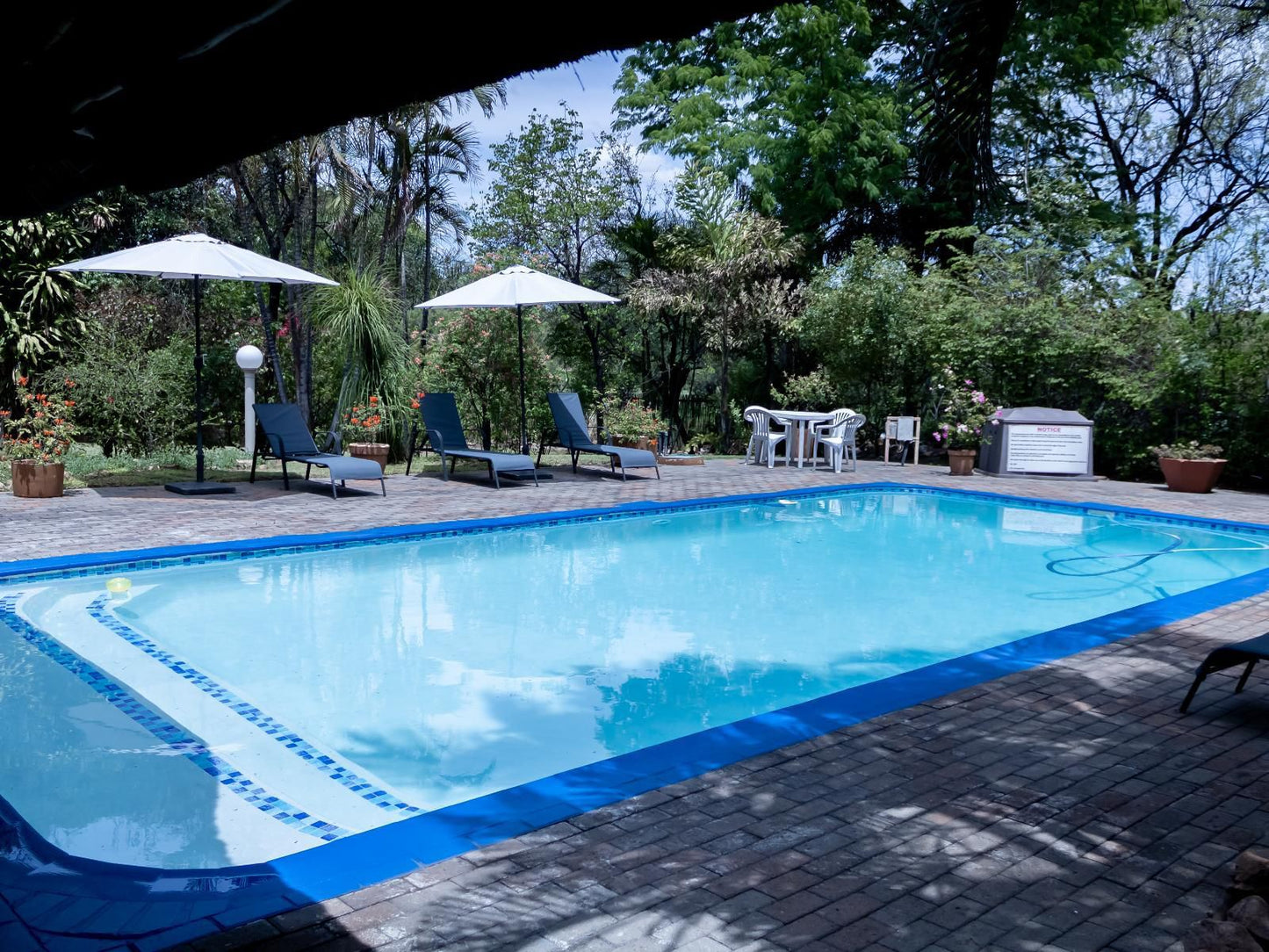 Sunbird Lodge Phalaborwa Limpopo Province South Africa Swimming Pool