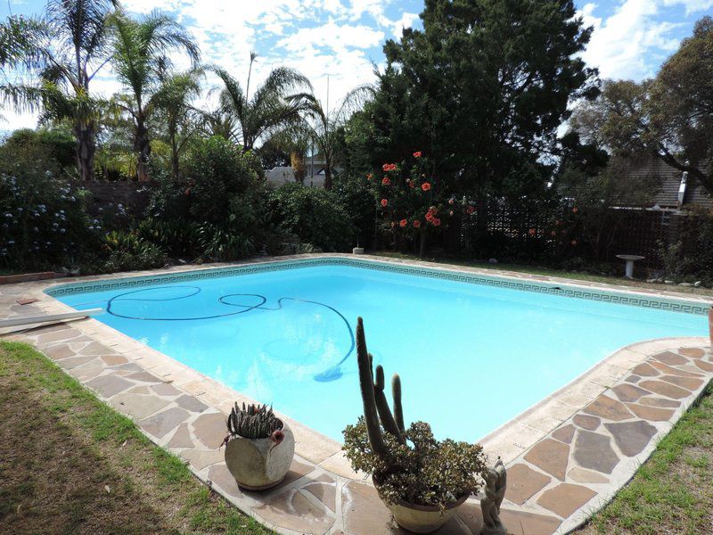 Sunbirds Nest Durbanville Hills Cape Town Western Cape South Africa Garden, Nature, Plant, Swimming Pool