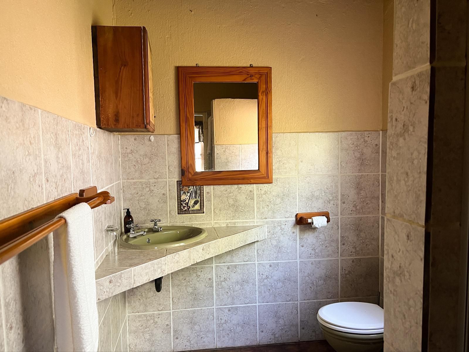 Sunbirds Oasis Lodge Thornybush Game Reserve Mpumalanga South Africa Bathroom