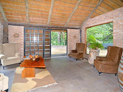 Sunbirds Oasis Lodge Thornybush Game Reserve Mpumalanga South Africa Living Room