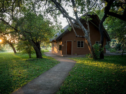 Sunbirds Oasis Lodge Thornybush Game Reserve Mpumalanga South Africa House, Building, Architecture, Plant, Nature, Tree, Wood