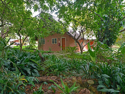 Sunbirds Oasis Lodge Thornybush Game Reserve Mpumalanga South Africa House, Building, Architecture, Palm Tree, Plant, Nature, Wood