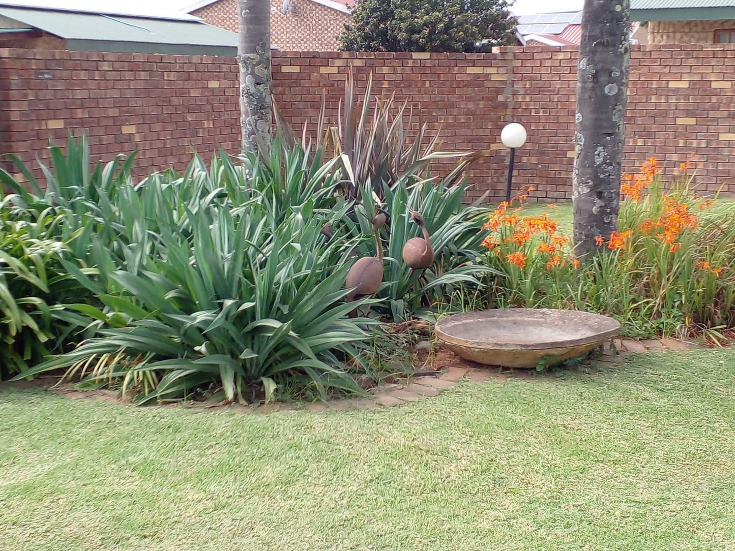 Sundowner Lodge And Caravan Park Piet Retief Mpumalanga South Africa Plant, Nature, Garden