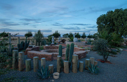 Sundown Lodge Aliwal North Eastern Cape South Africa Cactus, Plant, Nature