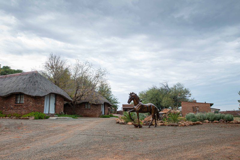 Sundown Lodge Aliwal North Eastern Cape South Africa Horse, Mammal, Animal, Herbivore