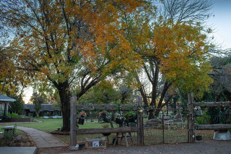 Sundown Lodge Aliwal North Eastern Cape South Africa Plant, Nature, Tree, Wood, Autumn, Cemetery, Religion, Grave