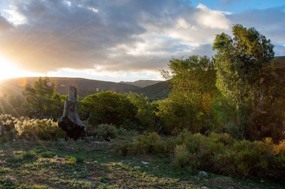 Sunflower Cottage Mcgregor Western Cape South Africa Nature