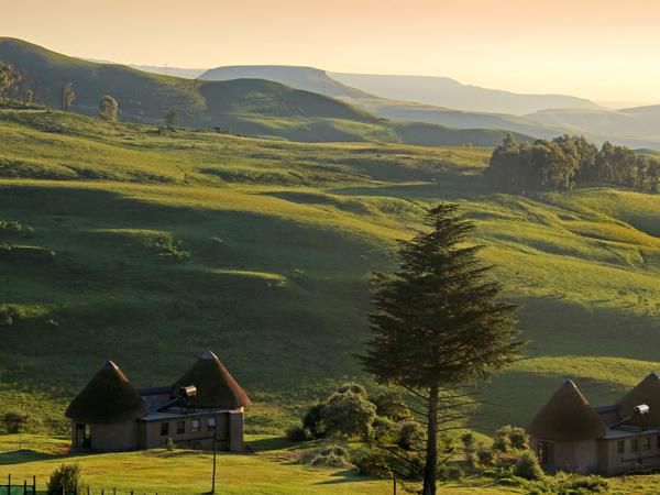 Sungubala Eco Camp Langkloof Kwazulu Natal South Africa Highland, Nature