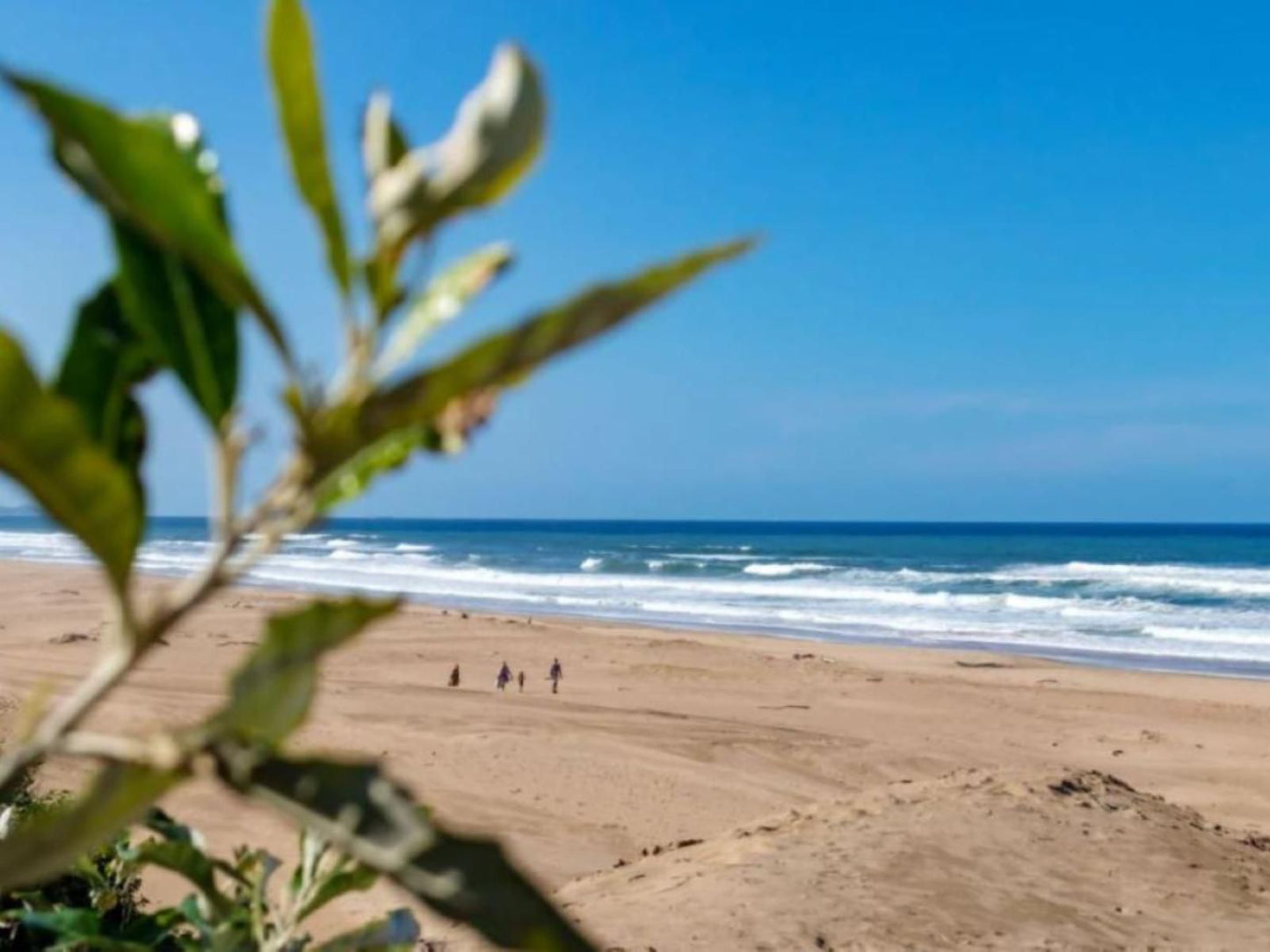 Sunny Tides Illovo Beach Kingsburgh Kwazulu Natal South Africa Complementary Colors, Colorful, Beach, Nature, Sand