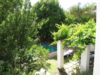 Sunny Lane Franschhoek Western Cape South Africa Plant, Nature, Garden, Swimming Pool