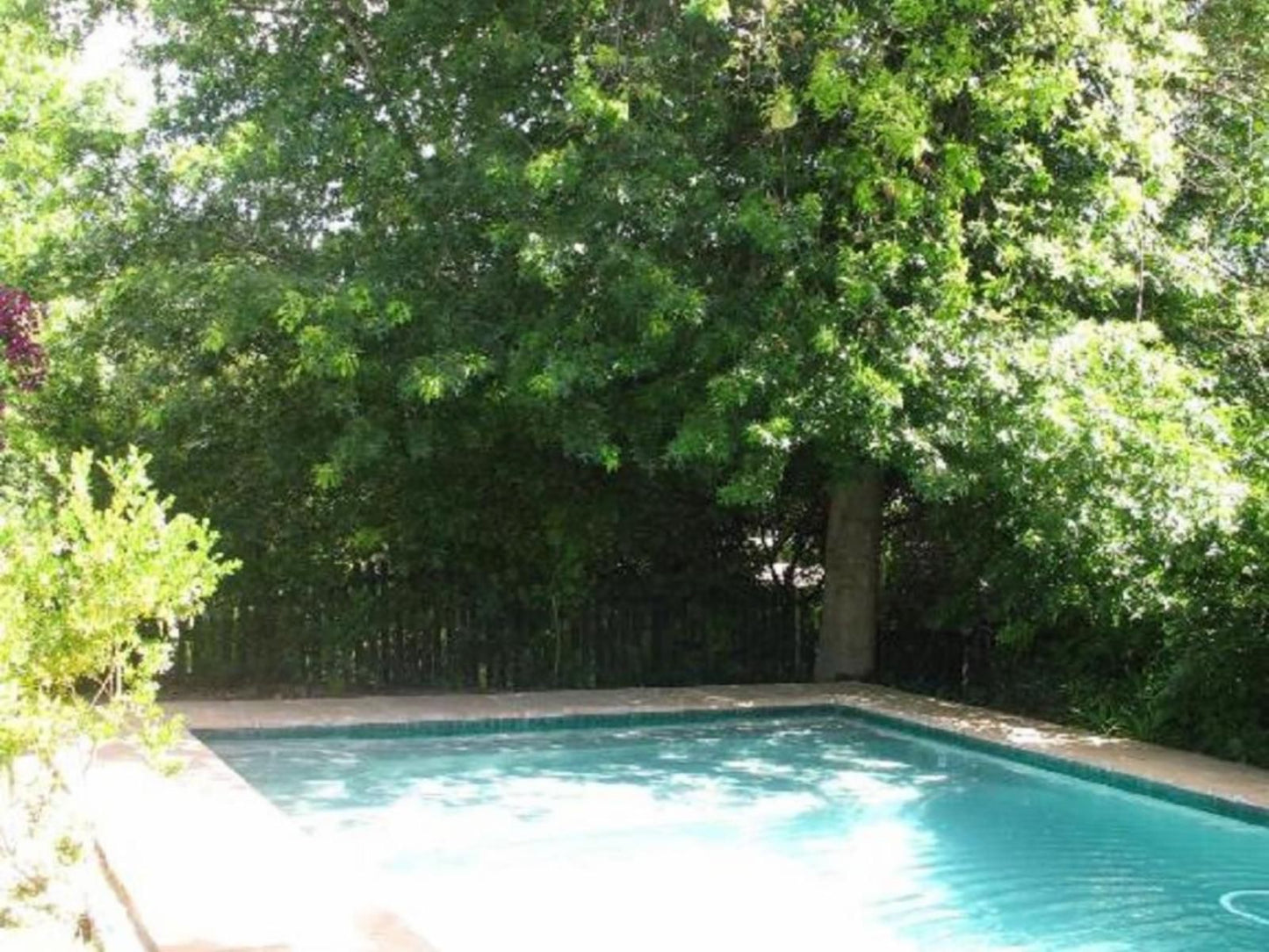 Sunny Lane Franschhoek Western Cape South Africa Tree, Plant, Nature, Wood, Garden, Swimming Pool