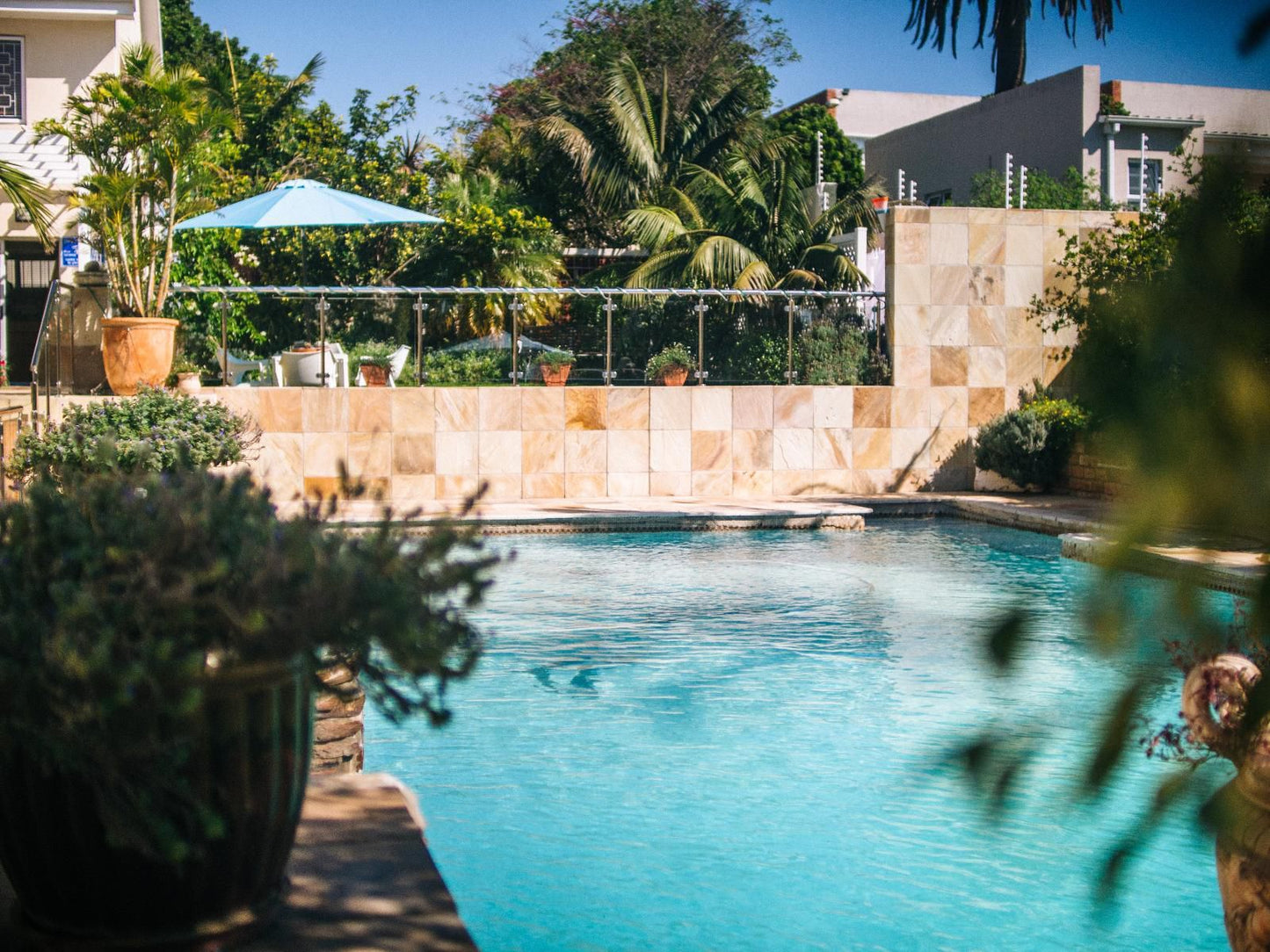 Sunnyside Guesthouse Parsons Hill Port Elizabeth Eastern Cape South Africa Complementary Colors, Palm Tree, Plant, Nature, Wood, Garden, Swimming Pool