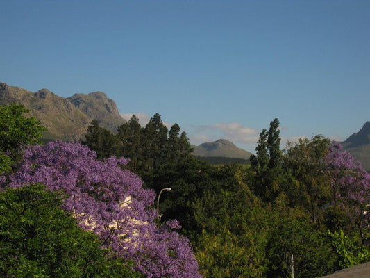 Sunny View Stellenbosch Western Cape South Africa Mountain, Nature