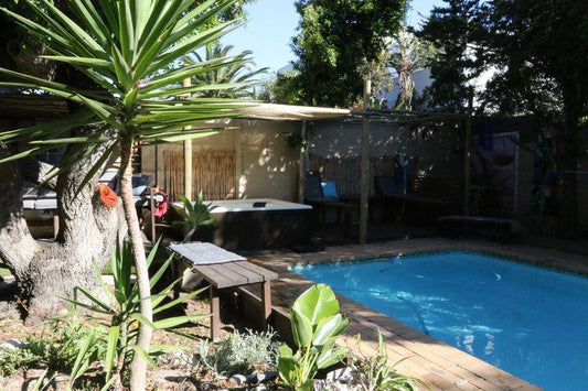 Sunrise Accommodations Blouberg Cape Town Western Cape South Africa Palm Tree, Plant, Nature, Wood, Garden, Swimming Pool