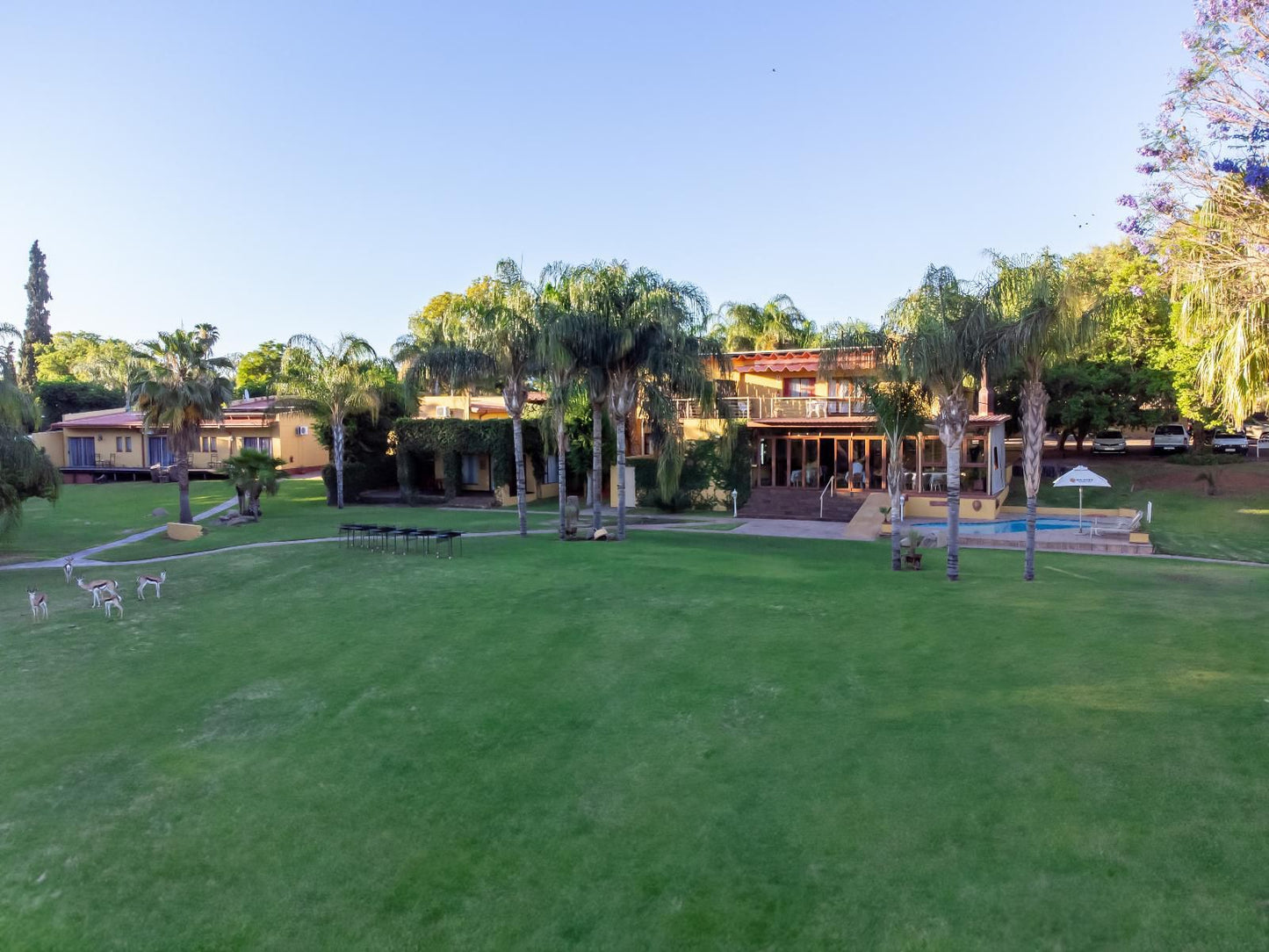 Sun River Kalahari Lodge Upington Northern Cape South Africa Palm Tree, Plant, Nature, Wood, Swimming Pool