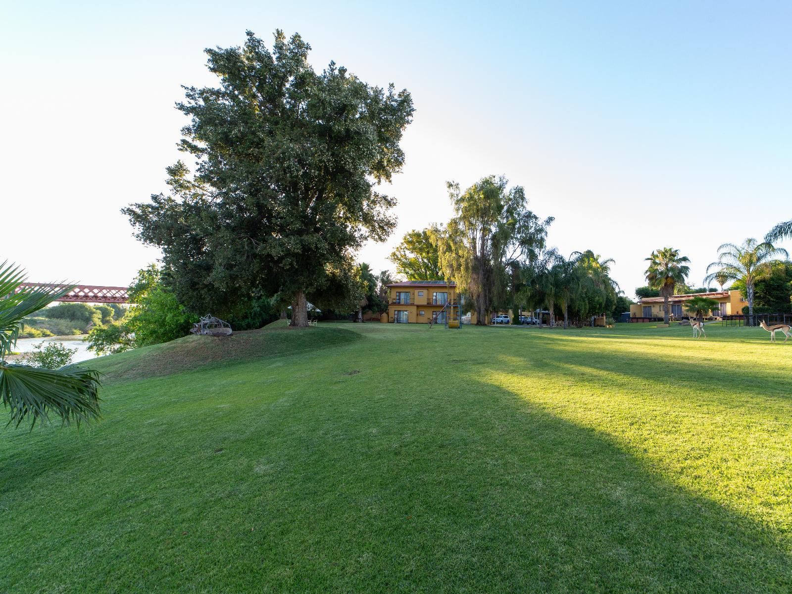 Sun River Kalahari Lodge Upington Northern Cape South Africa Palm Tree, Plant, Nature, Wood