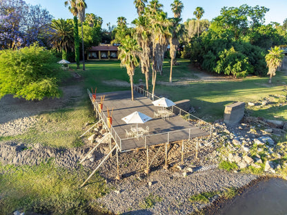 Sun River Kalahari Lodge Upington Northern Cape South Africa Palm Tree, Plant, Nature, Wood