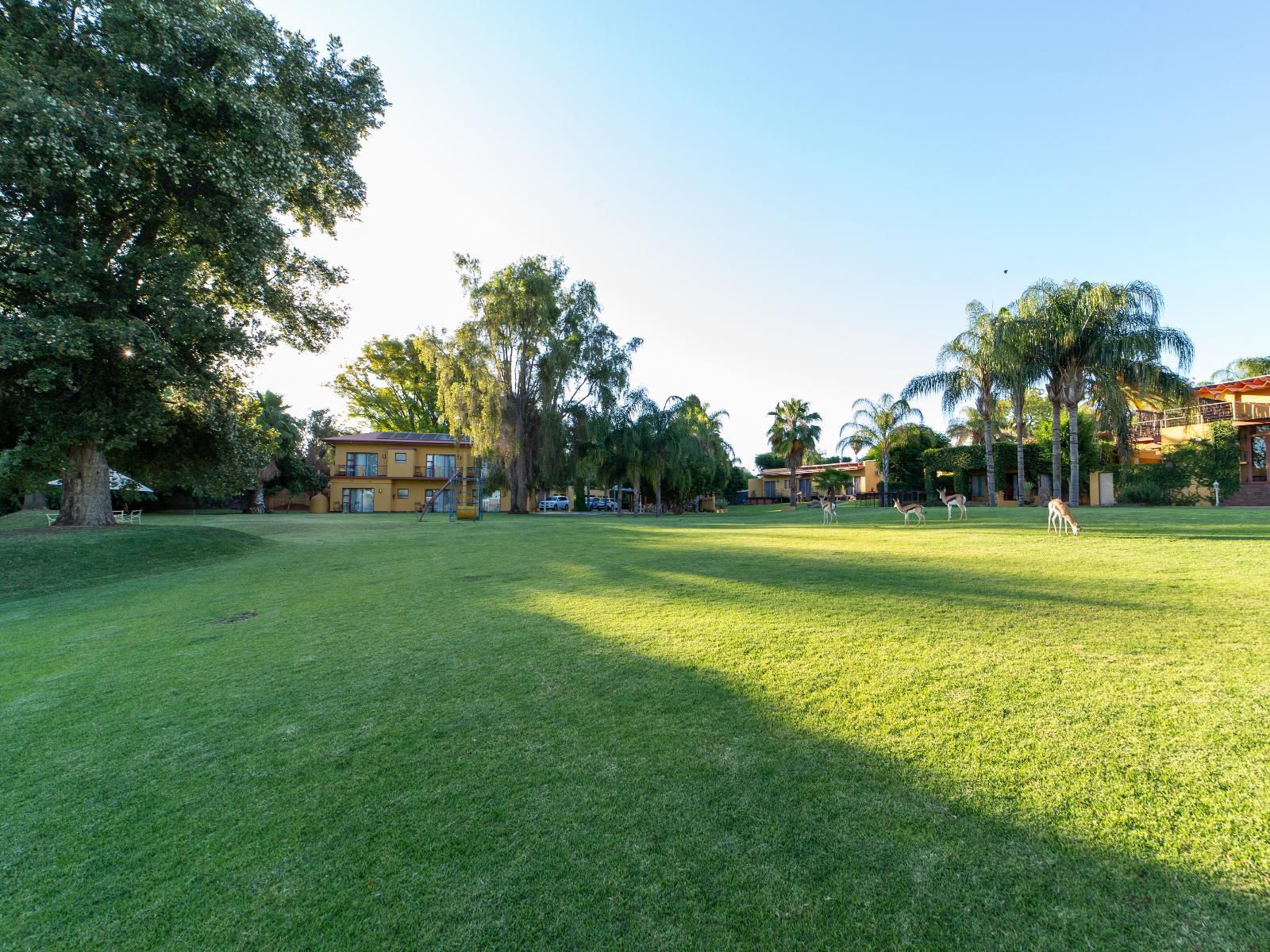 Sun River Kalahari Lodge Upington Northern Cape South Africa Complementary Colors, Palm Tree, Plant, Nature, Wood, Ball Game, Sport