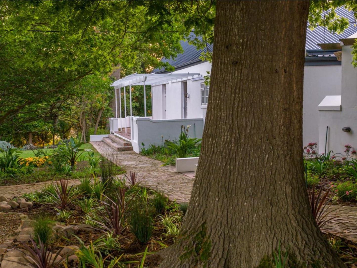 Sunset Farm Stellenbosch, House, Building, Architecture, Plant, Nature, Tree, Wood, Garden