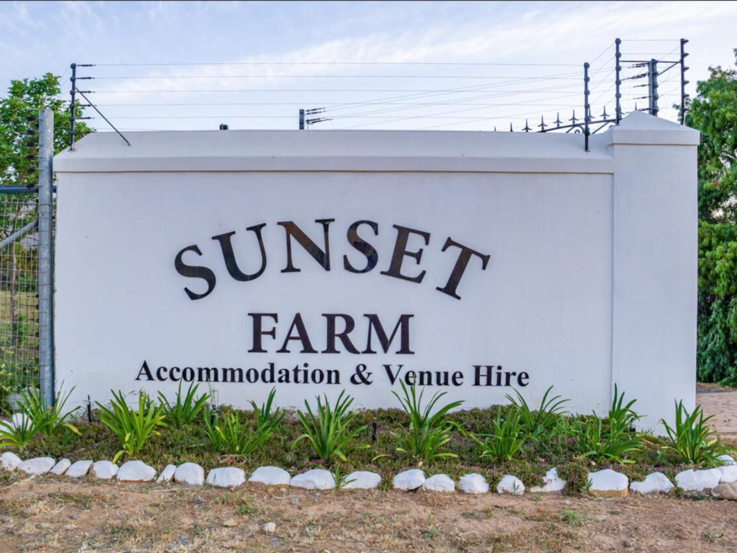 Sunset Farm Stellenbosch, Palm Tree, Plant, Nature, Wood, Sign