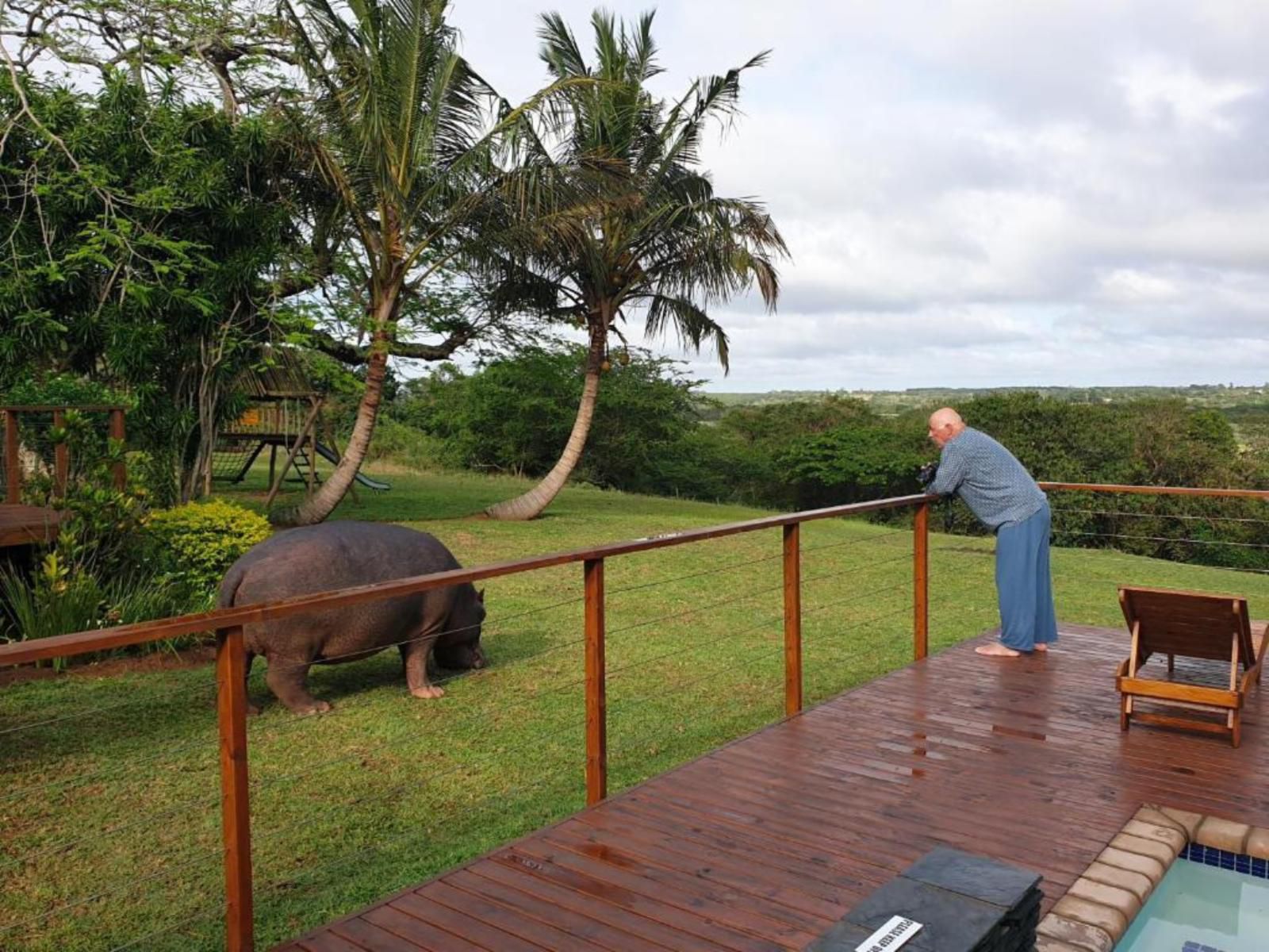 Sunset Lodge, Animal, Person