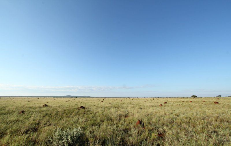 Sunset Private Reserve Douglas Northern Cape South Africa Complementary Colors, Colorful, Field, Nature, Agriculture, Desert, Sand, Lowland