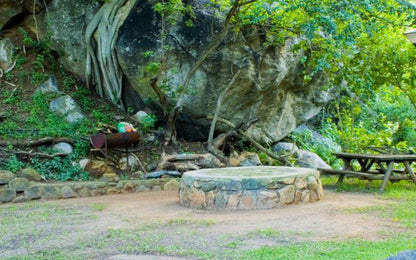 Sunset Creek Game Lodge Karino Mpumalanga South Africa Reptile, Animal, Ruin, Architecture, Tree, Plant, Nature, Wood
