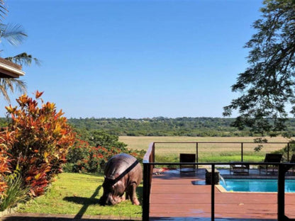 Sunset Lodge Log Cabins St Lucia Kwazulu Natal South Africa Complementary Colors