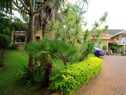 Sunset Ridge Protea Park Rustenburg North West Province South Africa Palm Tree, Plant, Nature, Wood, Garden