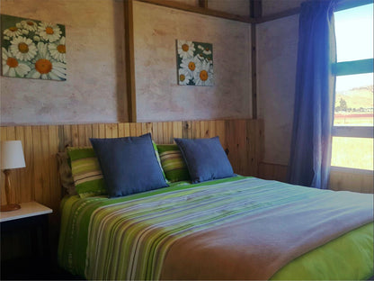 Suntsani Escape Queenstown Eastern Cape South Africa Bedroom