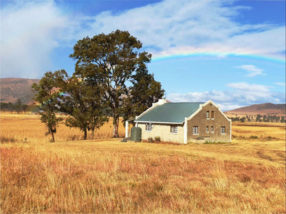 Suntsani Escape Queenstown Eastern Cape South Africa Complementary Colors, Colorful, Barn, Building, Architecture, Agriculture, Wood, Lowland, Nature