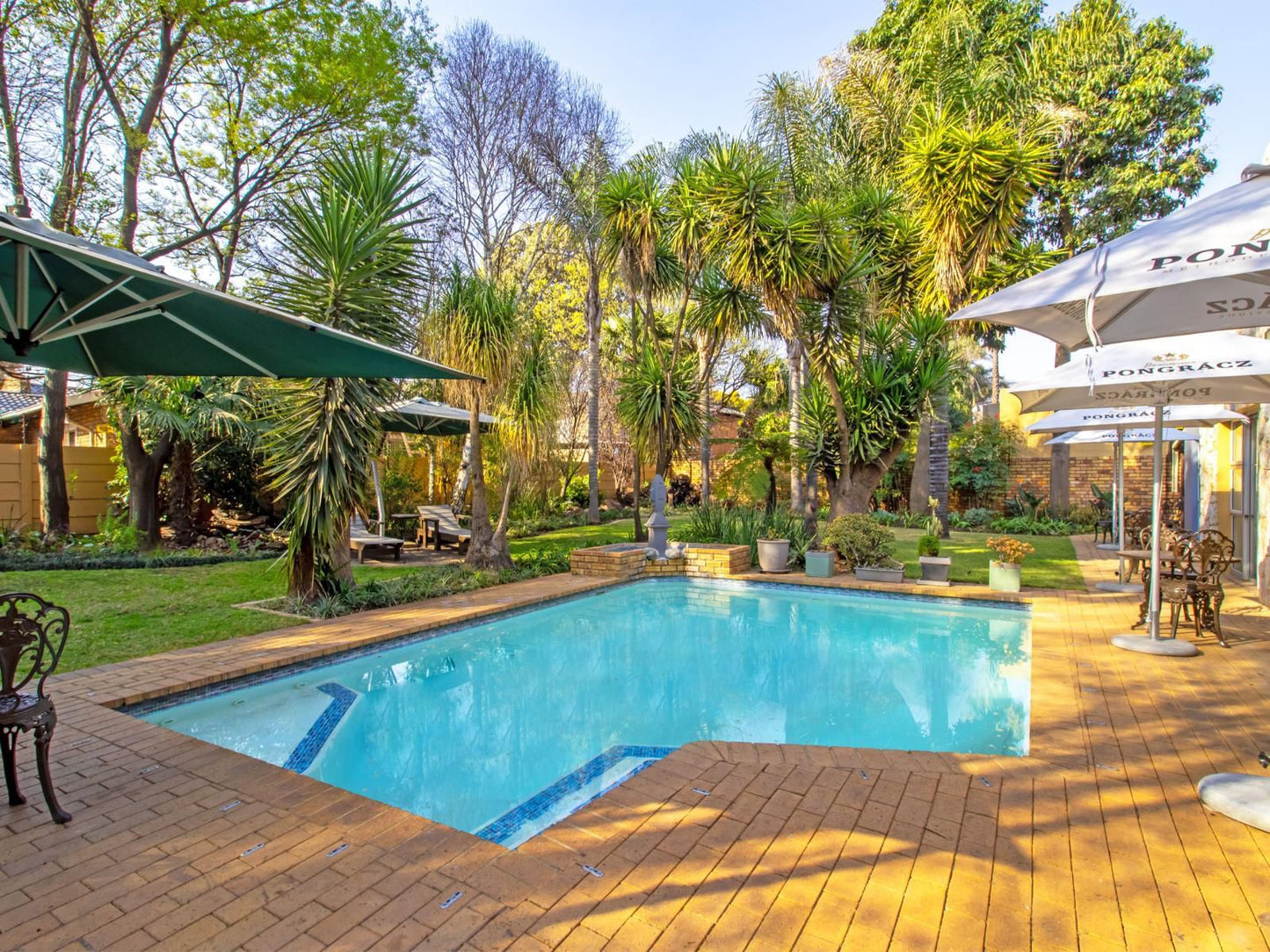 Sunward Park Guesthouse And Conference Centre Boksburg Johannesburg Gauteng South Africa Complementary Colors, Palm Tree, Plant, Nature, Wood, Garden, Swimming Pool