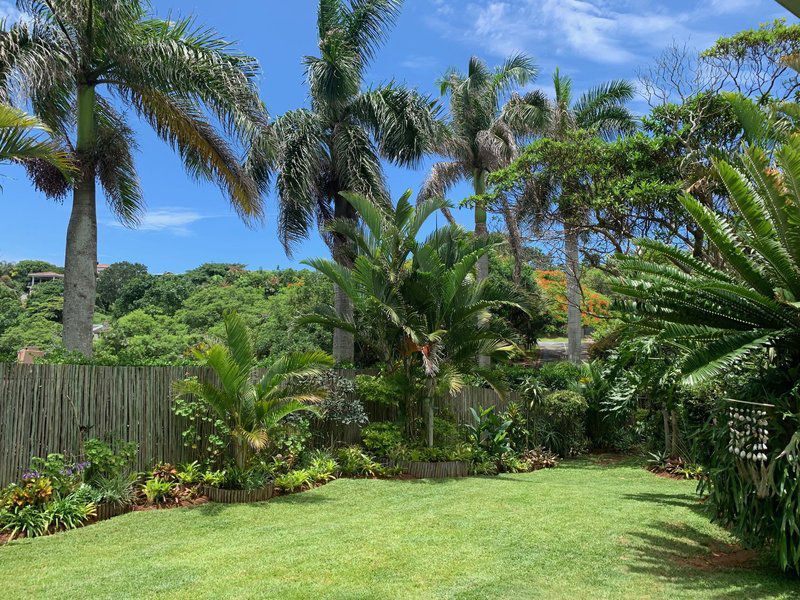 Surfers House Ballito Kwazulu Natal South Africa Complementary Colors, Palm Tree, Plant, Nature, Wood, Garden